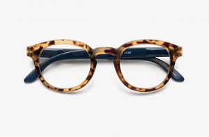 Blue Ban Readers Tortoise
