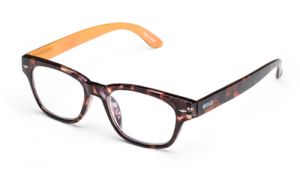 SBTR250 image