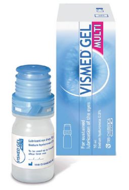 VISGM image